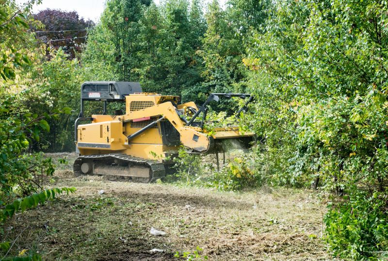 Field Clearing in Marietta, GA